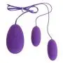 Ladaidra Portable Vibrating Jump Eggs Dual Bullets 20 Frequency Másságer for Women Female