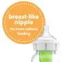 Dr. Browns Options+ Wide-Neck Glass Baby Bottles, 5 Ounce, 3 Count