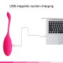 SheLins Kegel Balls for Beginners Kegel Exercise for Woman Age Old Ben Wa Balls Pelvic Floor Exercisers for Tightening