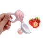 2 Pack Fresh Fruit Silicone Nipple Teething Toy-Fresh Fruit Feeder for kids  Bonus 3 Pcs Replacement Silicone Pouches