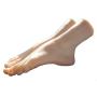 Simulation Girls Ballerina Dancer Gymnast Foot Silicone Feet Model Mannequin (With Nail)