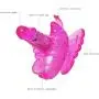 Wearable Butterfly Clitóriàl Stimulàtor Wireless Remote Control Silicone Vibràntor for Women Pleasure Toy