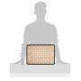 AmazonBasics Silicone Macaron Baking Mat Sheet, Set of 2