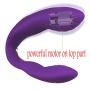 Waterproof 10 Speed Silicone Vibrator Recharge Clitoral G-Spot Massage for Couples Adult Sex Toys for Woman Sex Products (purple)