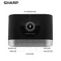 Sharp SPC679A - Alarm with Wireless Charging - Qi Certified - USB Charging for 2nd Device!