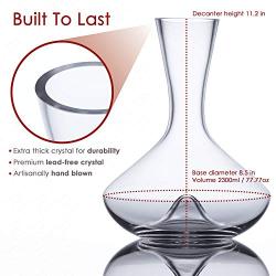 Vintorio Citadel Wine Decanter - Artisanally Hand Blown Lead-Free Crystal - Super Durable Sommeliers Wine Carafe with Aerating Punt Design and Silicone Stopper