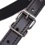 DaynNight Pink Silicone Toy and Leather Strap for Couple