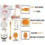 Silicone Bottle Cleaning Brush for Glass Bottle, Baby Bottle, Sports Bottle, Vacuum Bottle, Thermos, Mugs, Jars, Jugs, Cups, Flasks, Shaker + Free Eco Silicone Food Wrap