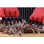 Superior Value Set: Silicone BBQ/Cooking Gloves Plus Grill Mat Plus Meat Claws Plus Silicone Baster Plus eBook w/ 300 Recipes. Impress Your Family and Friends with Your Professional BBQ Kit
