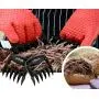 Superior Value Set: Silicone BBQ/Cooking Gloves Plus Grill Mat Plus Meat Claws Plus Silicone Baster Plus eBook w/ 300 Recipes. Impress Your Family and Friends with Your Professional BBQ Kit