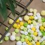 100pcs Silicone Teether Beads Food Grade Beige Series Nursing Accessories Yellow Series DIY Necklace/Bracelet Baby Pacifier Chain Jewelry Teething Toys Infant Gifts