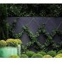 Tumax 50-Piece Plant Anchors For Trellis Design and Vine Supports
