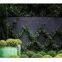 Tumax 50-Piece Plant Anchors For Trellis Design and Vine Supports