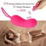 G Spot Vibrator with Clitoris Stimulator 12 Vibration Modes, Wireless Remote Control Bullet Vibrator Silicone Love Egg, Adult Sex Toys for Women, USB Rechargeable & Waterproof