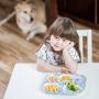 Bumkins Divided Plate, Melamine Tray Plate, Toddler, Kids, BPA Free, Stackable, Dishwasher Safe ? Gray Bird Park