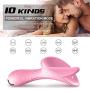 10 Vibration Modes USB Charged Tongue Lick 10 Mode Toy Female T-Controlled Stimulator