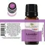 Plant Therapy Lavender Essential Oil 100% Pure, Undiluted, Therapeutic Grade 10 mL (1/3 oz)