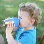 Healthy Sprouts Stainless Steel Kids Cups (4 Pack) ? 8 Oz Vacuum Insulated Dual Wall Steel Sippy Cups for Toddler Baby