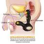 sweet124043 G-Spǒt Prǒstate Vibratǒr Amal Vibreitor- Premium Couples Toy for Men- Waterproof Silicone Male Funny Toy Vibrating Plug & Whisper Quiet