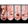 Yiwa Sex Toys Men Silicone Penis Testicle Lock Ring Glans Sleeve Vibrating Cock Cover with Vibrator Increase Sex Pleasure Sex Tool for Couples Novelty