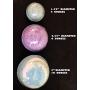 Kids Giant 10 OZ Bath Bomb with One Educational 1" Replica Silicone Dinosaur Toy Inside - Green Apple Scent in New Large Party Size 3" Diameter Ages 4+