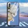iPhone X/XS Case, Protective Heavy Duty Case with Tempered-Glass Back Case for iPhone X/XS 5.8 Inch (Bears Polar Bears)