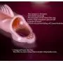 Silicone penile Condom Expander expands Male Chastity Toys Lengthen Cock Sleeves e95314