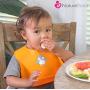 NatureBond Silicone Baby Bibs for Babies & Toddlers (2 PCs) | Free Waterproof Pouch | Wipes Clean Easily, Soft, Unisex, Adorable in Appetite Stimulating Colors