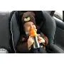 Thinkbaby Stainless Steel Thinkster Bottle, Orange (9 ounce)