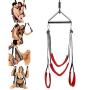 Silicone Toy Swivél ?wíng Set Indoor Hanging Ceiling Swing Set with Steel Triangle Frame and Spring Support 360 Degree Spinning with Adjustable Straps for Adult Tight Design