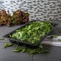 Carlisle 10200B03 StorPlus Full Size Food Pan, Polycarbonate, 2.5" Deep, Black