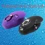 Waterproof 10 Speed Silicone Vibrator Recharge Clitoral G-Spot Massage for Couples Adult Sex Toys for Woman Sex Products (purple)