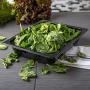 Carlisle 10220B03 StorPlus Half Size Food Pan, Polycarbonate, 2.5" Deep, Black