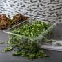 Carlisle 10202B07 StorPlus Full Size Food Pan, Polycarbonate, 6" Deep, Clear
