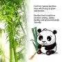 RENOOK Back Scratcher, 2 Piece 17" Natural Strong Sturdy Traditional Bamboo Wooden Body Relaxation Massager for Itching Relief, Best Gift for Parents，Friends，Yourself and More.